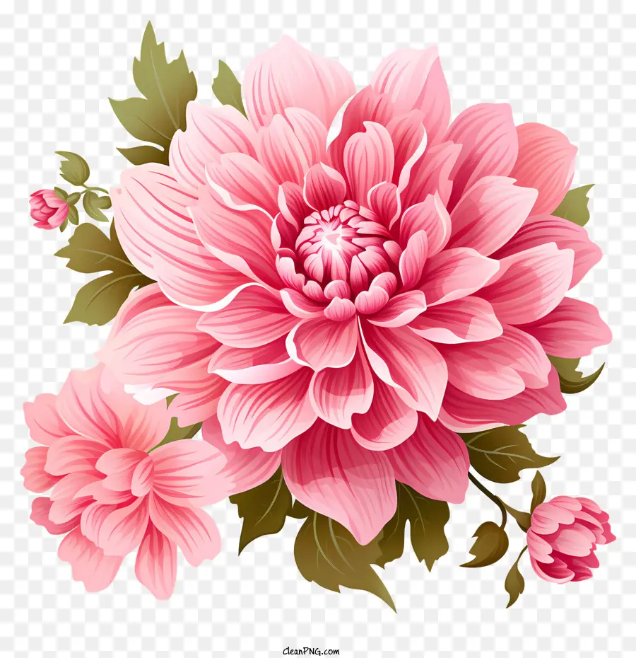 Fleur Rose Plate，Fleurs Roses PNG