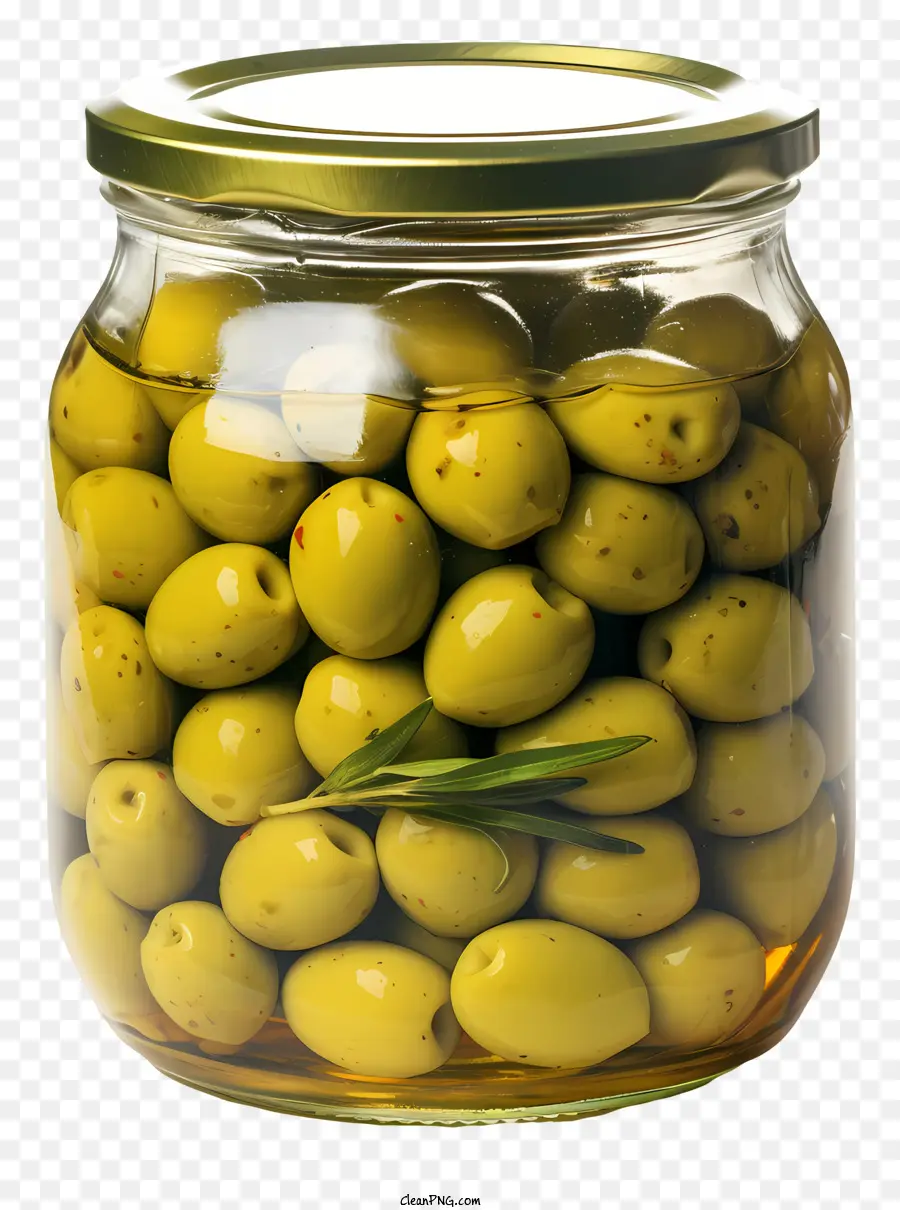 Sketch Style Olives Vertes En Pot，Olives Vertes PNG