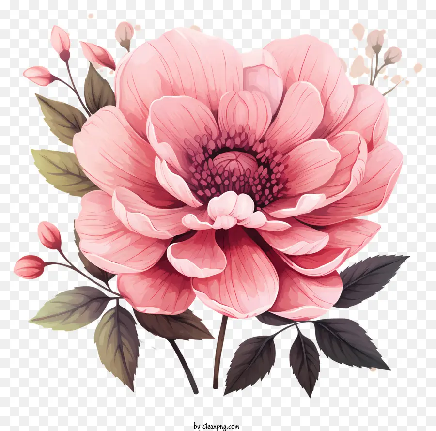 Fleur Rose De Style Doodle，Fleurs Roses PNG