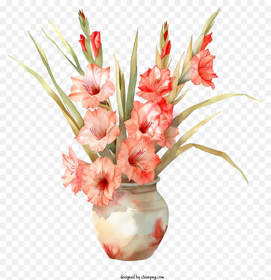 Gladiolus，Vase Blanc PNG