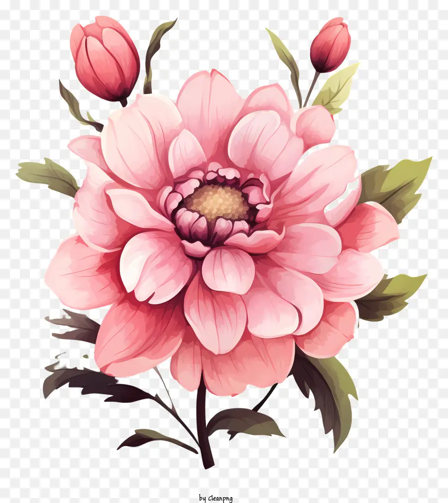 Fleur Rose De Style Doodle，Fleur Rose PNG