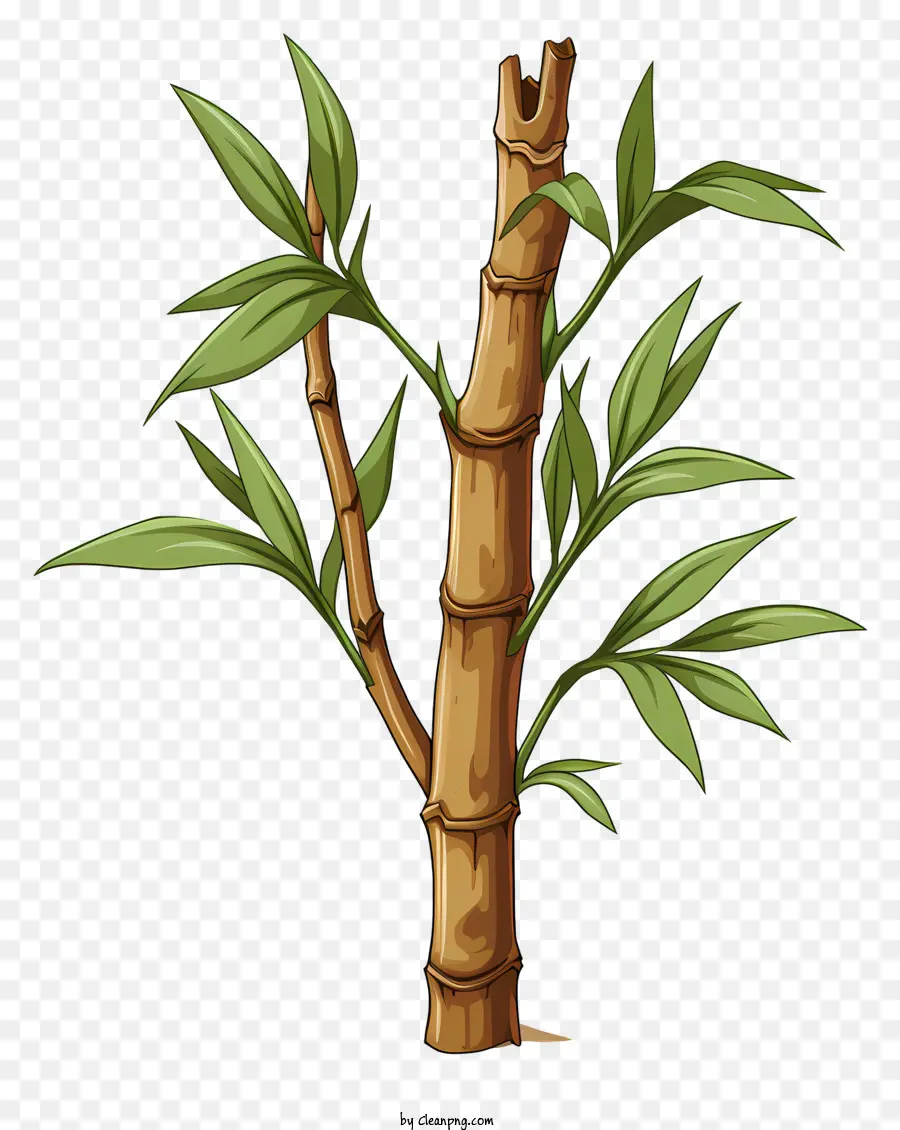Tige De Bambou De Style Croquis，L'arbre En Bambou PNG