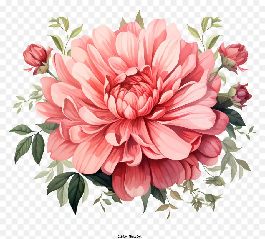 Fleur Rose De Style Sketch，Fleur Rose PNG