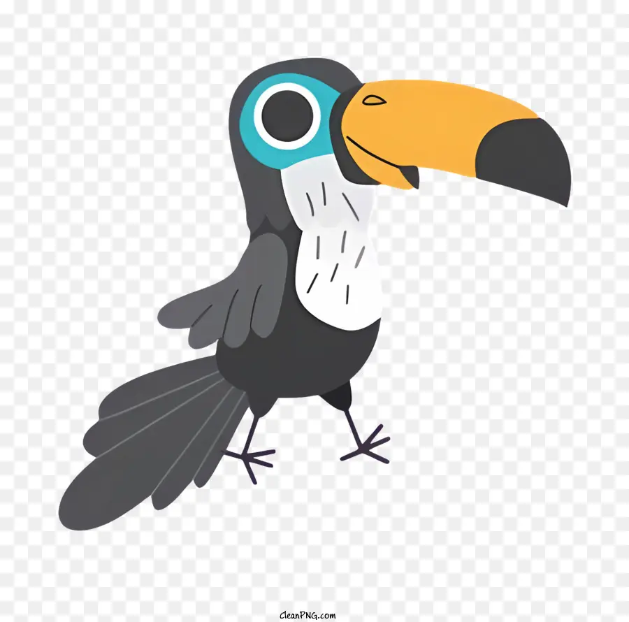 Oiseau Perroquet，Dessin Animé Oiseaux PNG