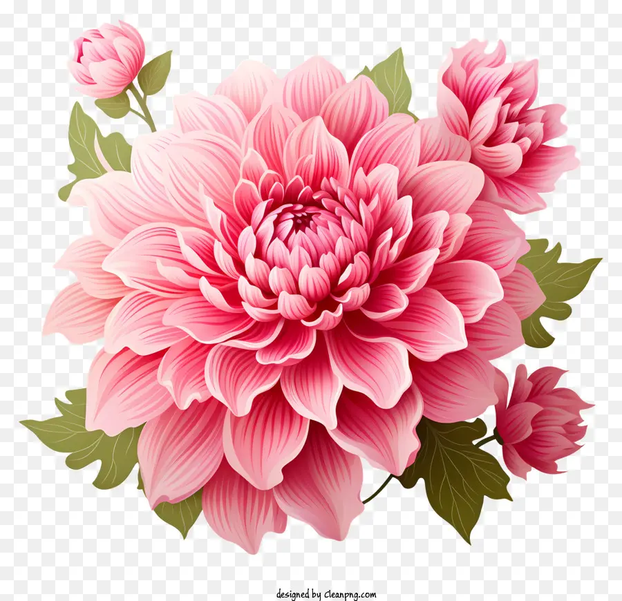 Fleur Rose Plate，Fleur Rose PNG