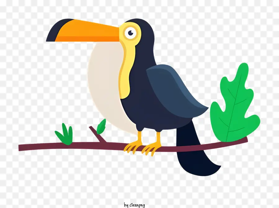 Oiseau Perroquet，Le Toucan PNG