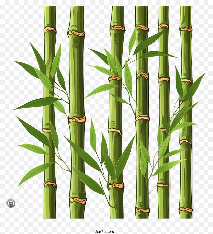 Tige De Bambou De Style Doodle，Bambou PNG