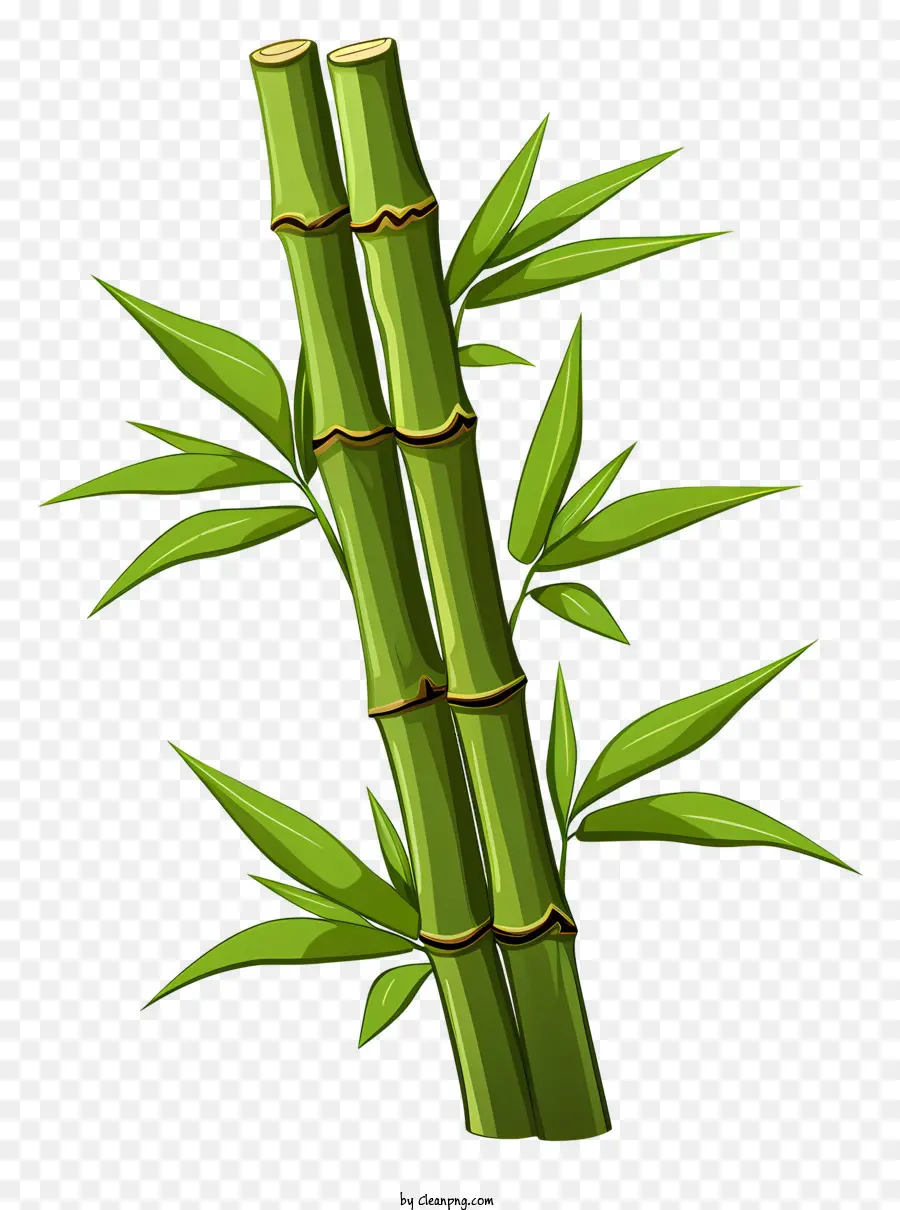 Tige De Bambou De Style Doodle，Des Plantes De Bambou PNG