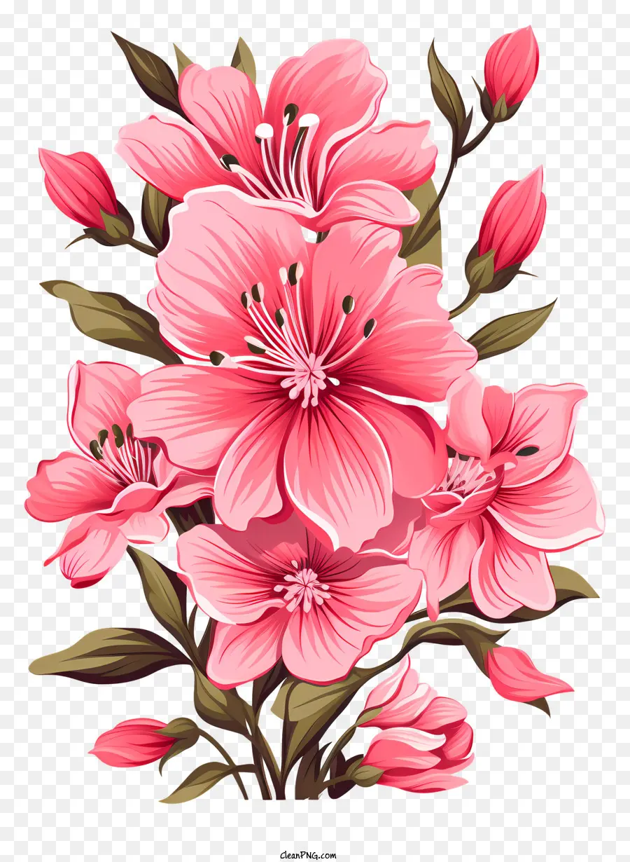 Fleur Rose De Style Doodle，Fleurs En Pleine Floraison PNG