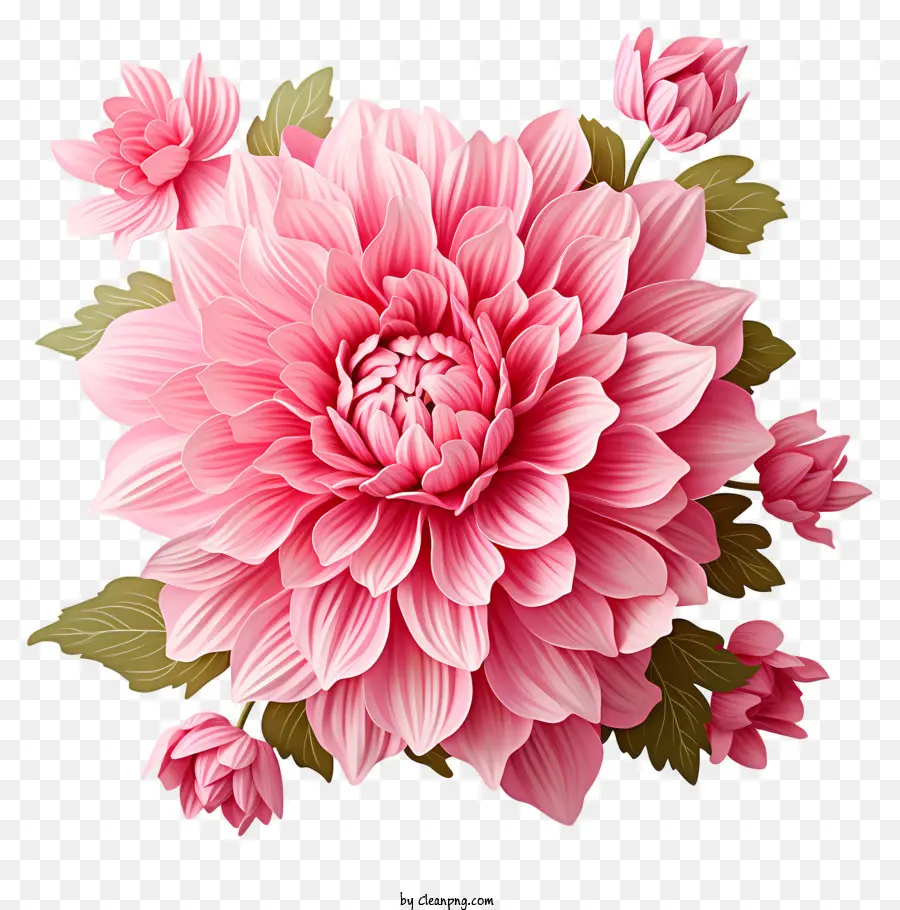 Fleur Rose Plate，Bouquet De Chrysanthemum Rose PNG