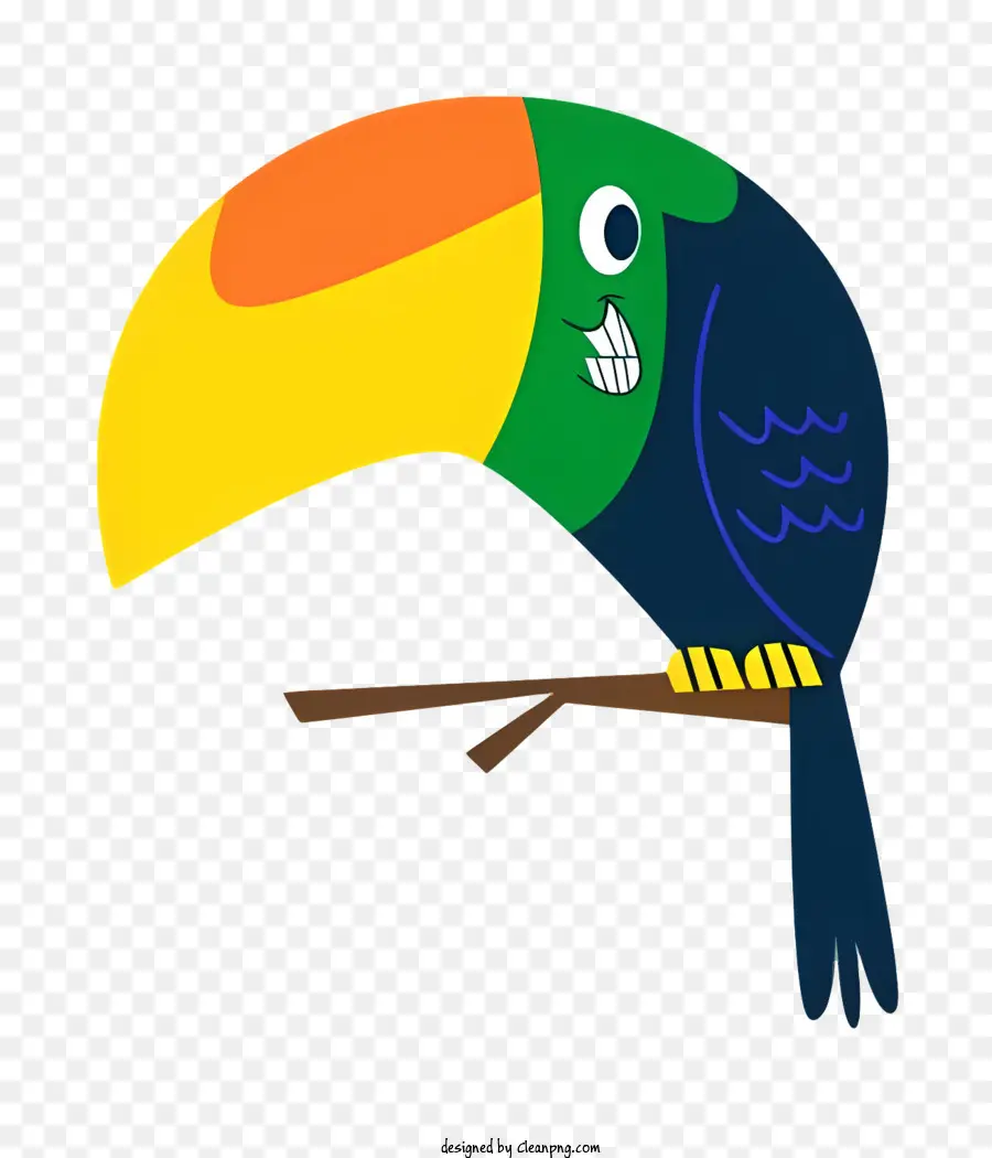 Perroquet Oiseau，Toucan Coloré PNG