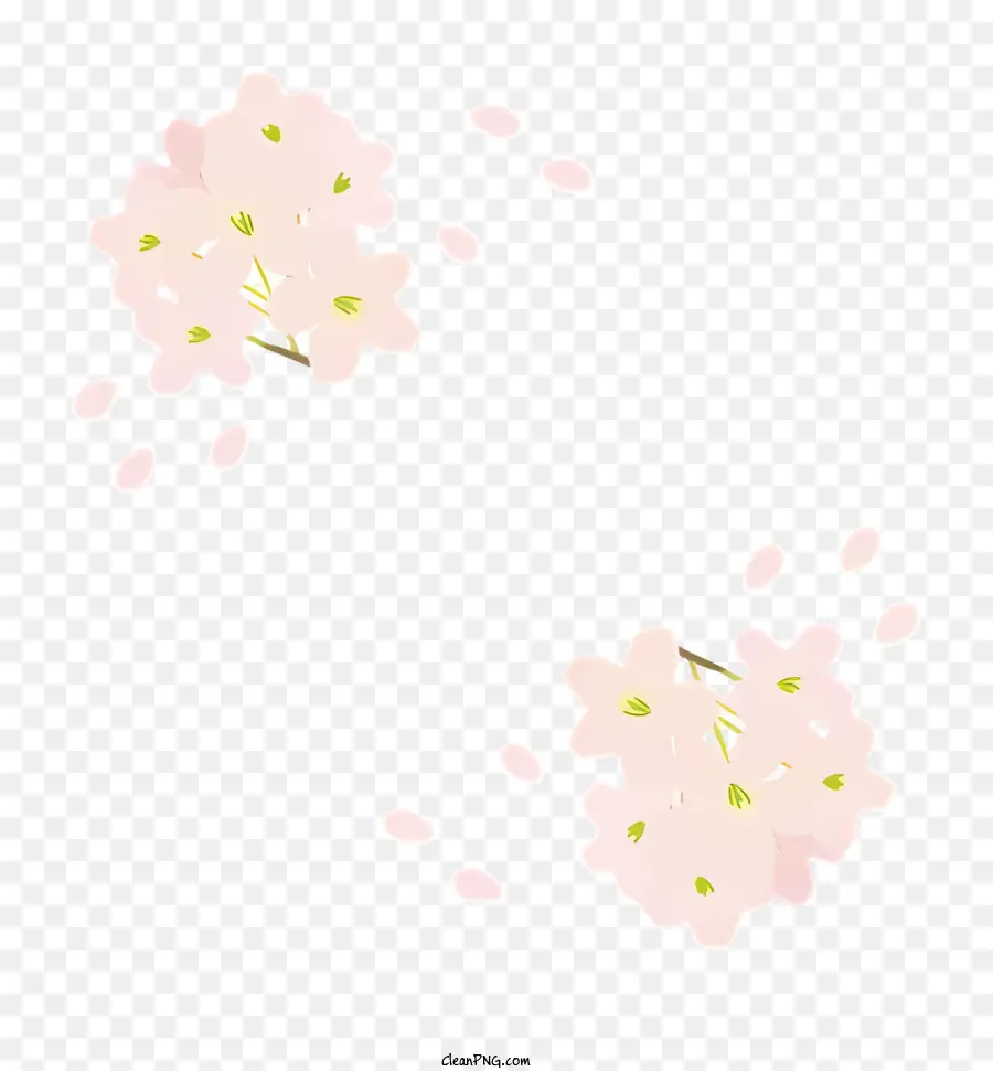 Fleur，Fleurs Roses PNG