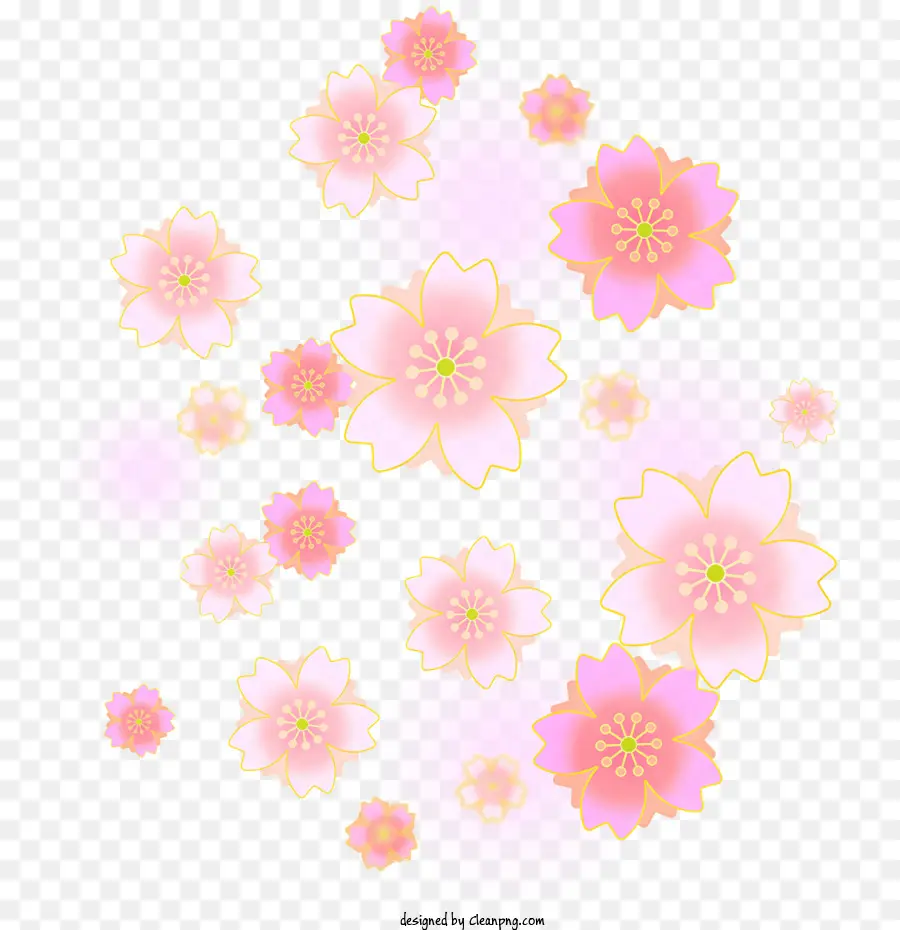 Sakura，Rose Fleur De Cerisier En Fleurs PNG