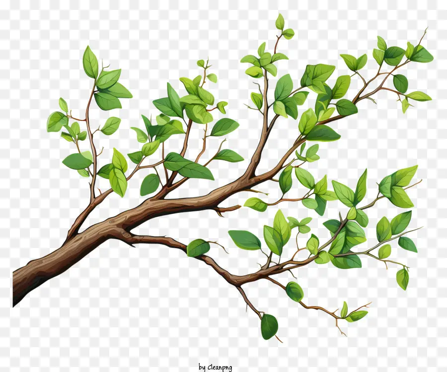 Branche D'arbre à Aquarelle，Branche D'arbre PNG