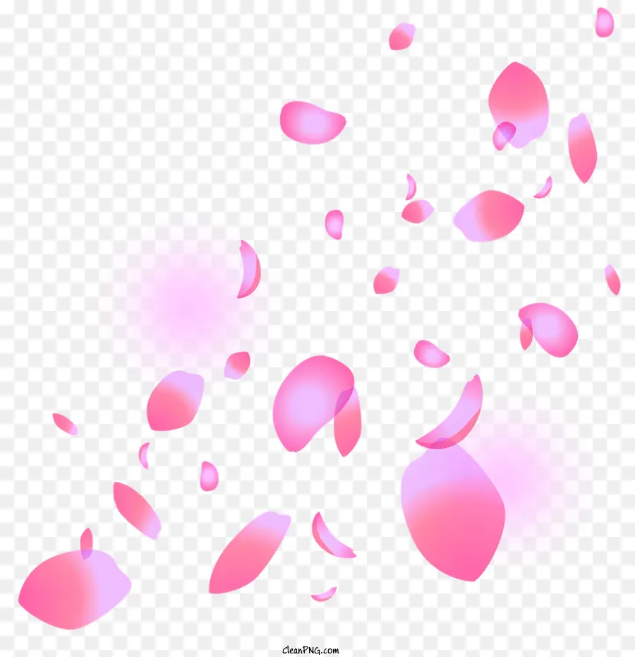 Sakura，Image Rose PNG