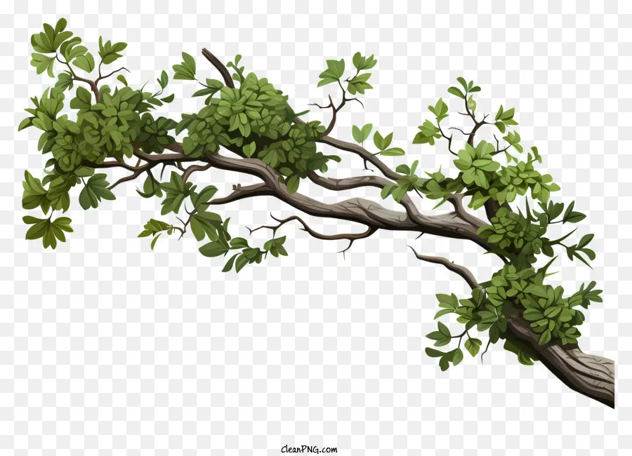 Branche D'arbre De Style Réaliste，Branche PNG