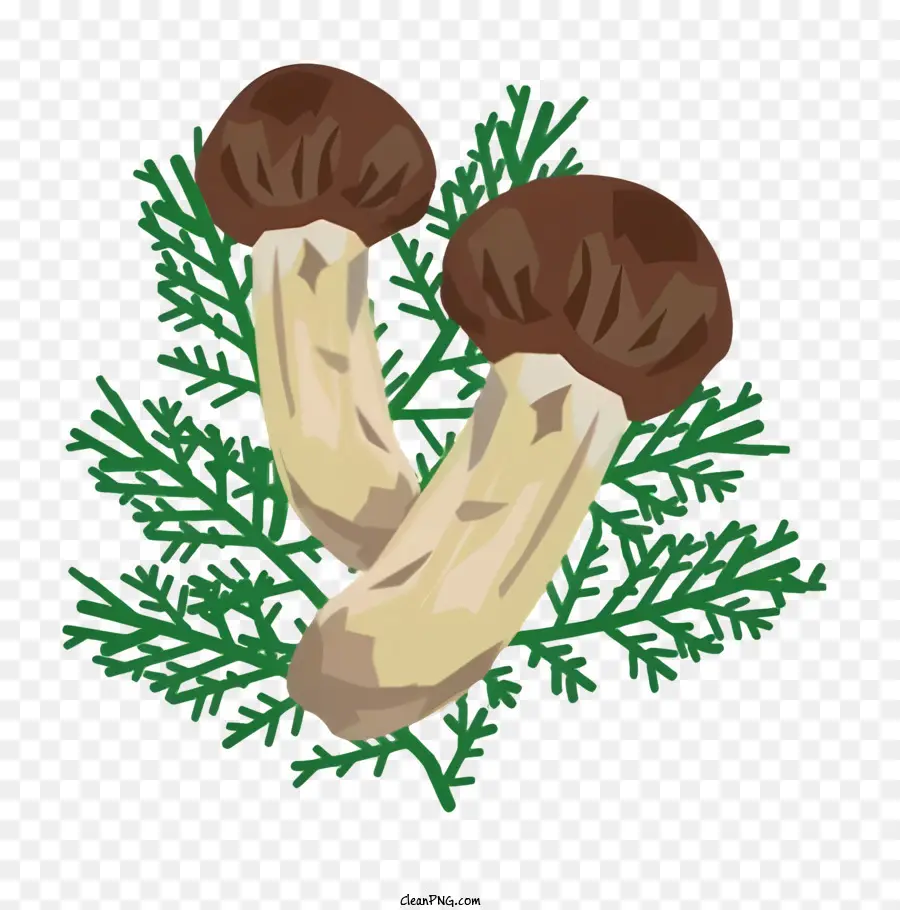 Champignon，Champignons PNG