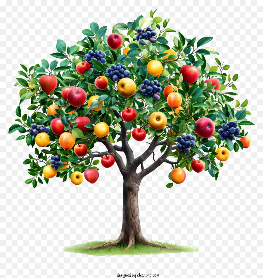 Les Fruits De L'arbre，Des Produits Frais PNG
