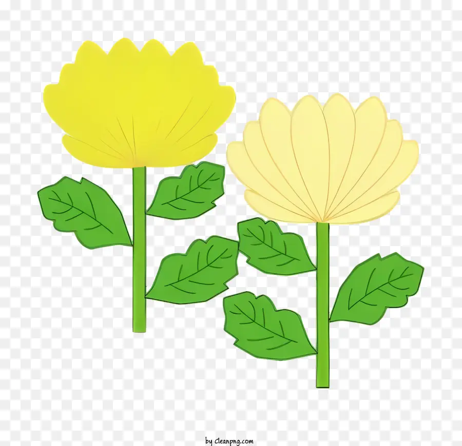 Fleur，Fleurs PNG