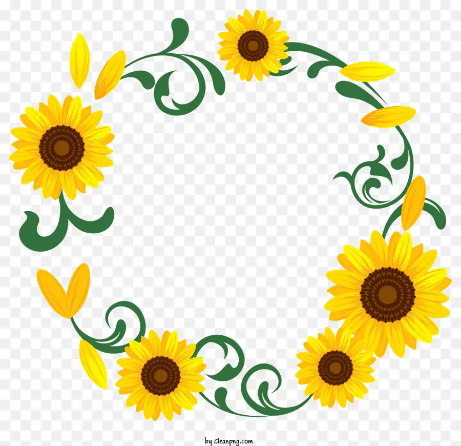 Cadre Tournesol，Tournesols PNG