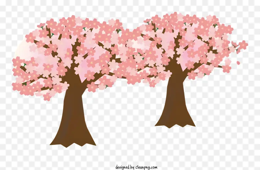 Fleur，Cerisier En Fleur PNG