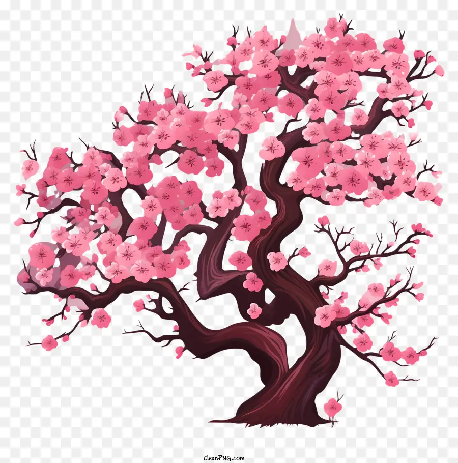 Arbre De Fleur De Cerisier Dessiné à La Main，Cerisier En Fleur PNG