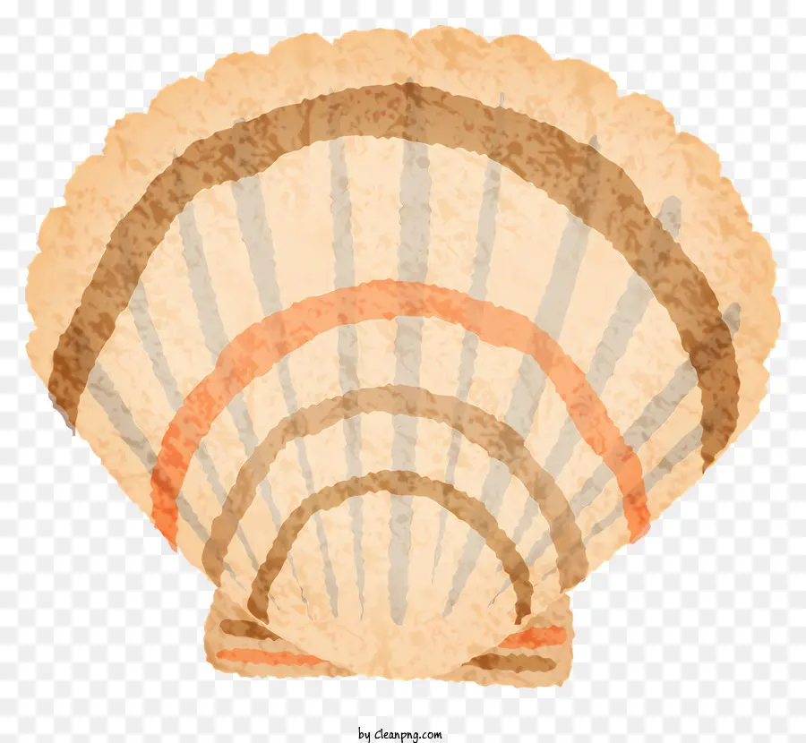 Coquille Vintage，Coquillage Rayé PNG