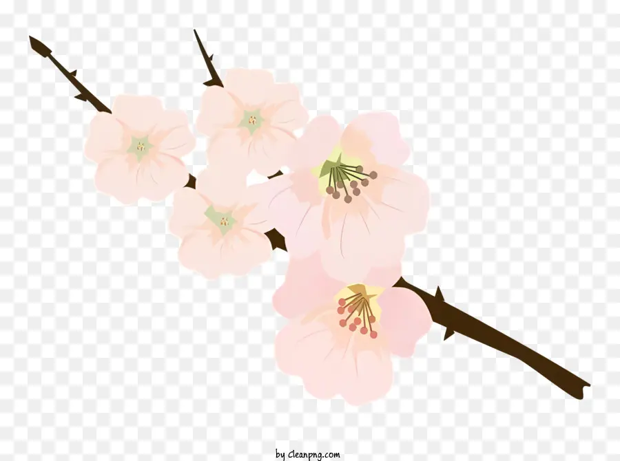 Fleur，Fleurs De Cerisier PNG