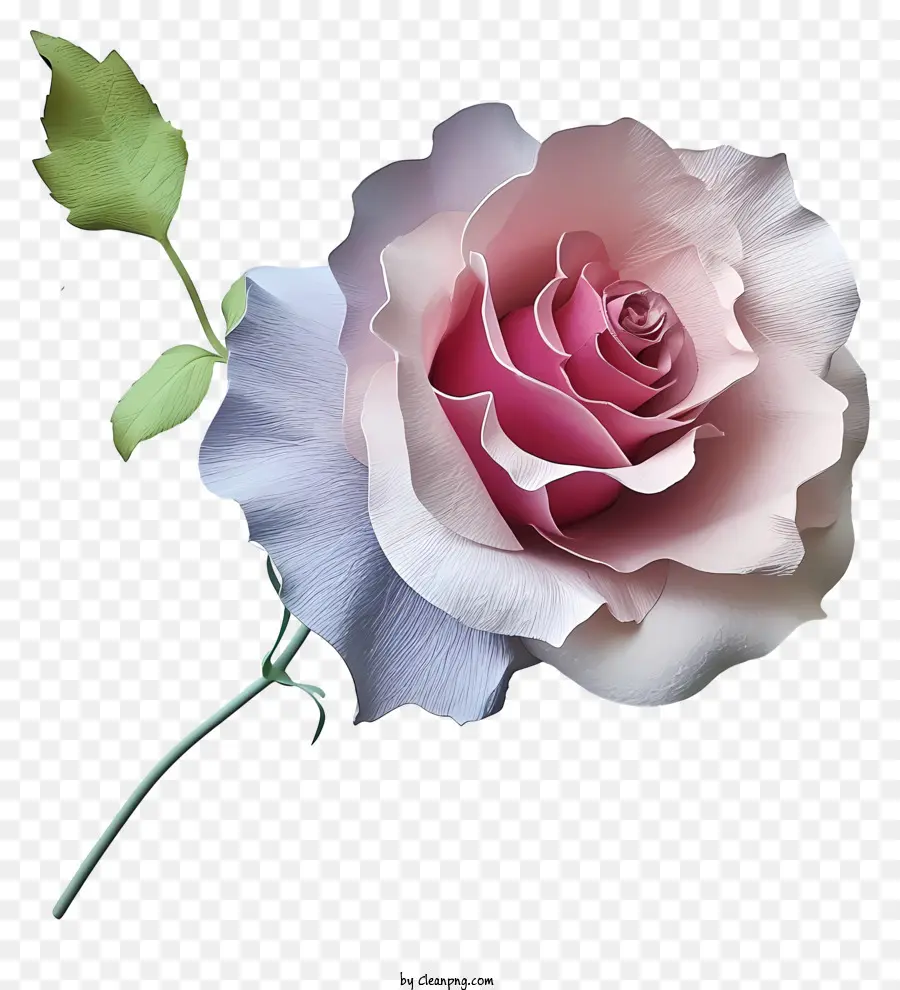 Rose Pastel Et Papier，Rose Rose PNG