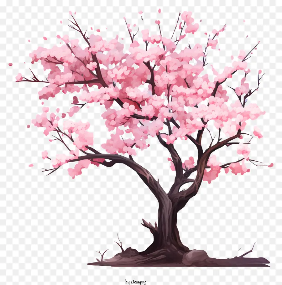 Arbre à Fleurs De Cerisier Pastel，Fleurs De Cerisier PNG