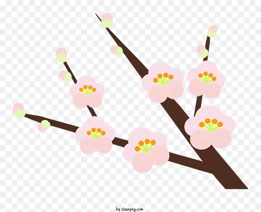 Fleur，Fleur De Cerisier PNG