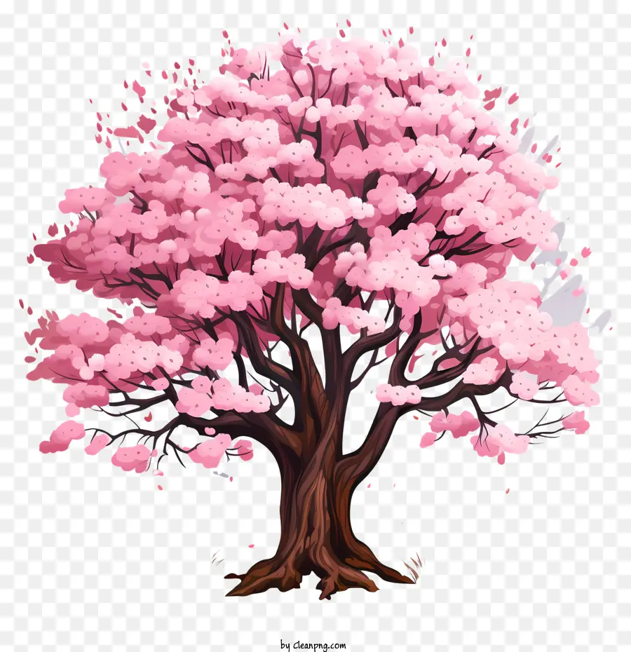 Arbre De Fleur De Cerisier De Style Doodle，Sakura Arbre PNG