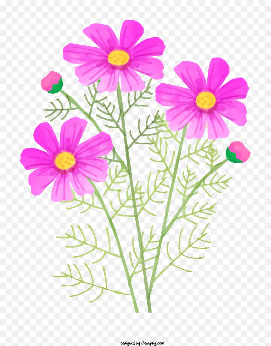 Fleur，Bouquet PNG