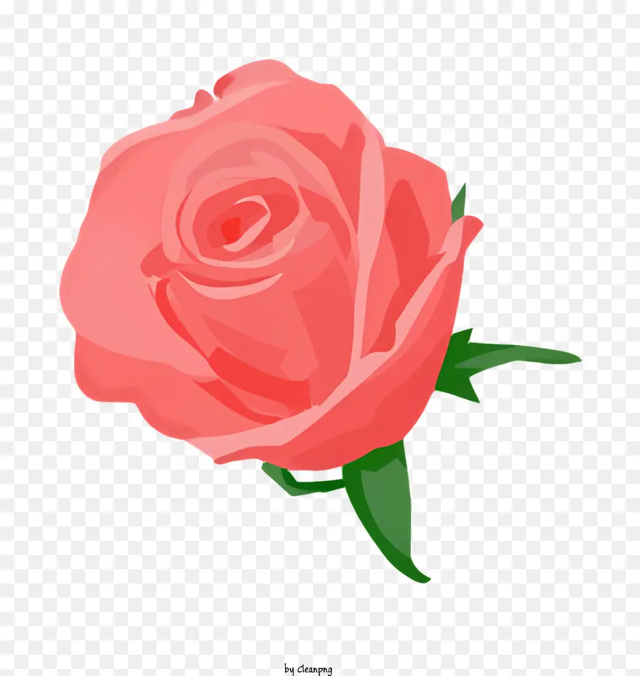 Fleur，Rose Rose PNG