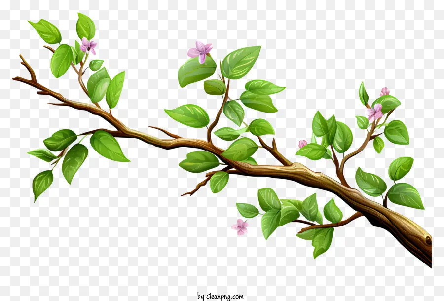 Branche D'arbre De Style Réaliste，Branche D'arbre PNG