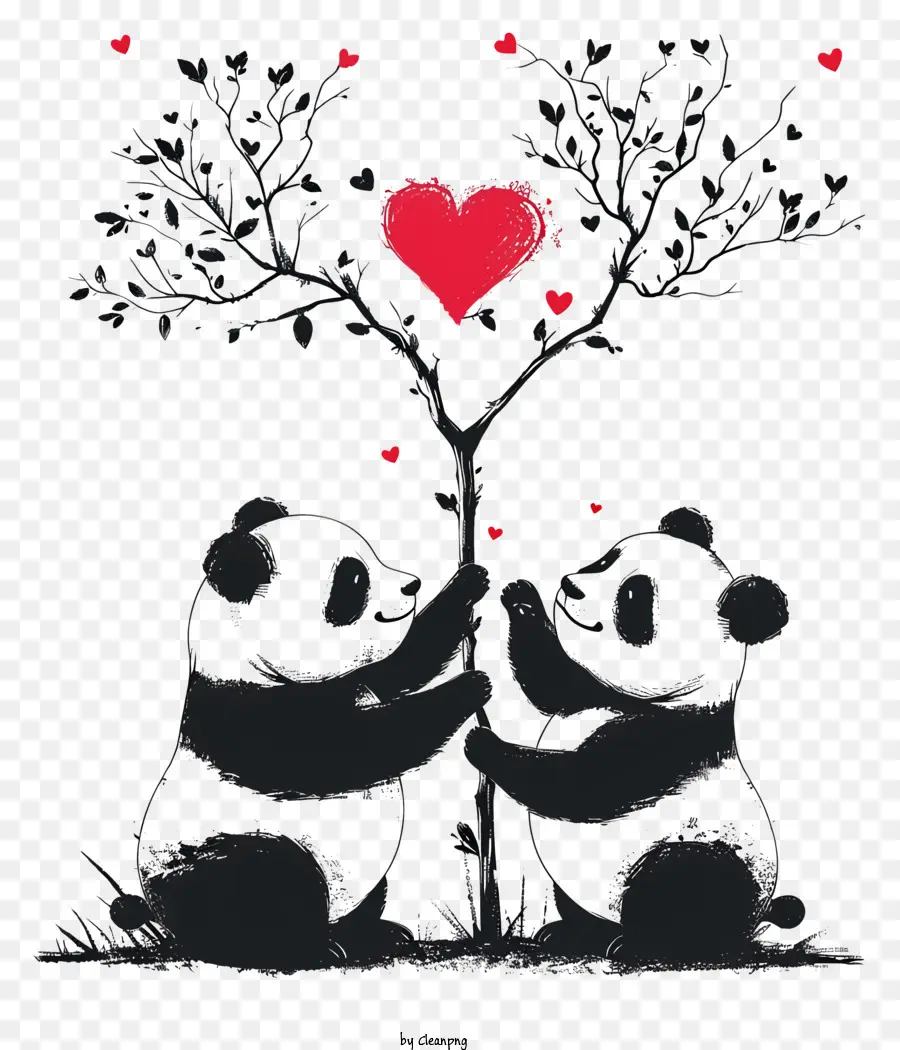 Panda Saint Valentin，Panda Bears PNG