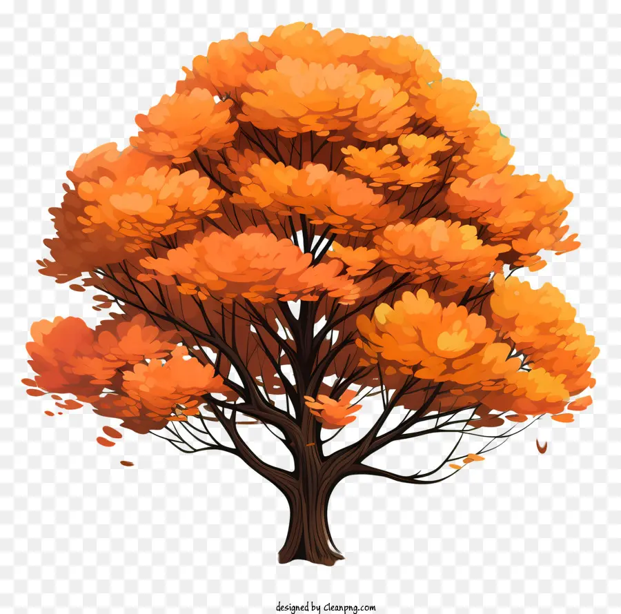 Style De Croquis Arbre D'automne，Arbre D'automne PNG