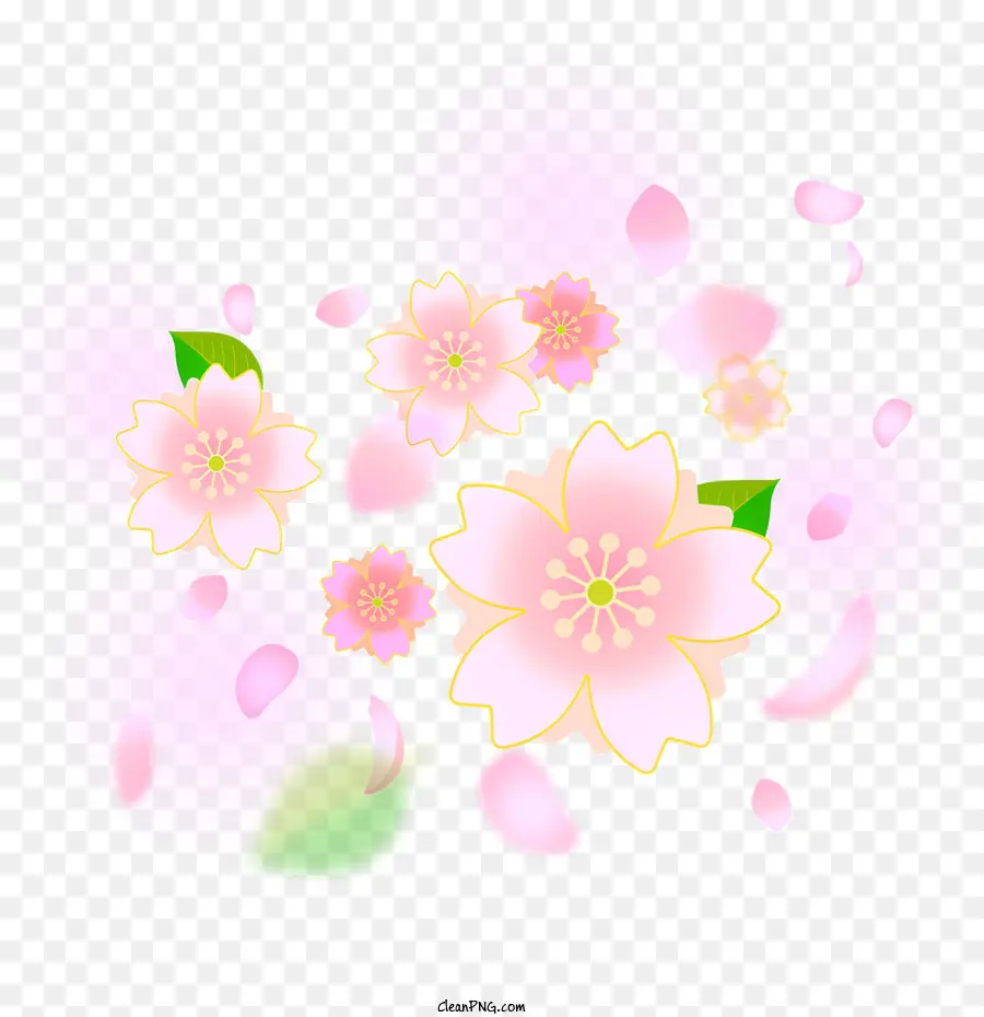 Sakura，Fleur Rose PNG