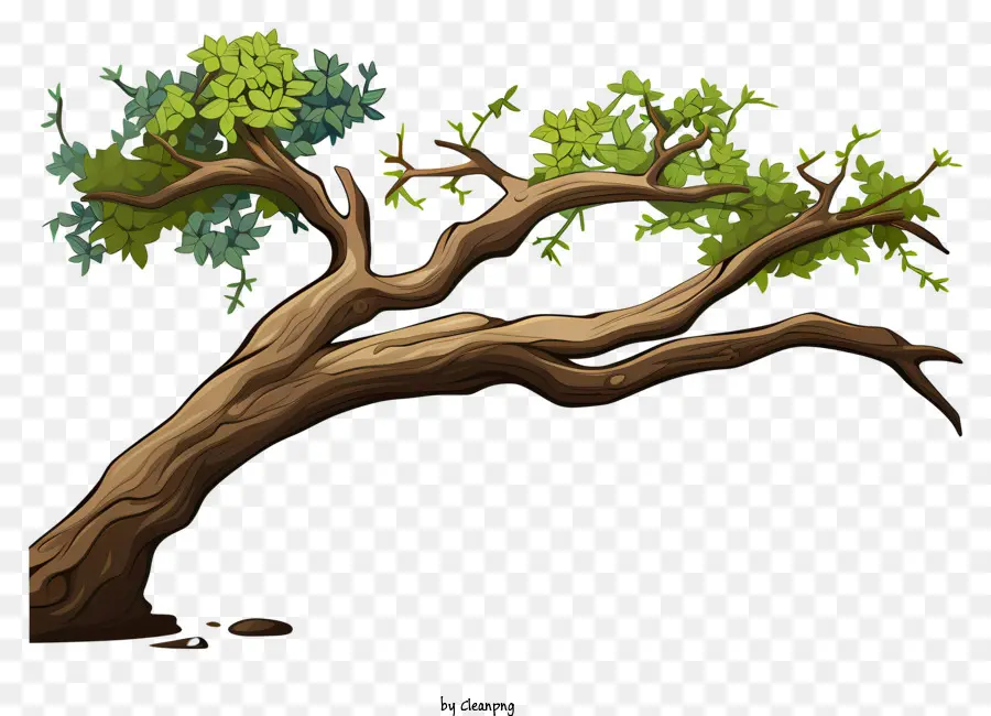 Branche D'arbre De Style Doodle，Feuilles Vertes PNG
