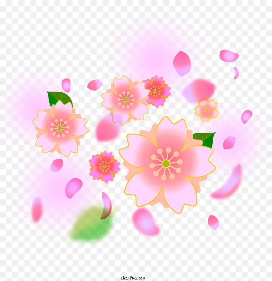Sakura，Fleurs PNG