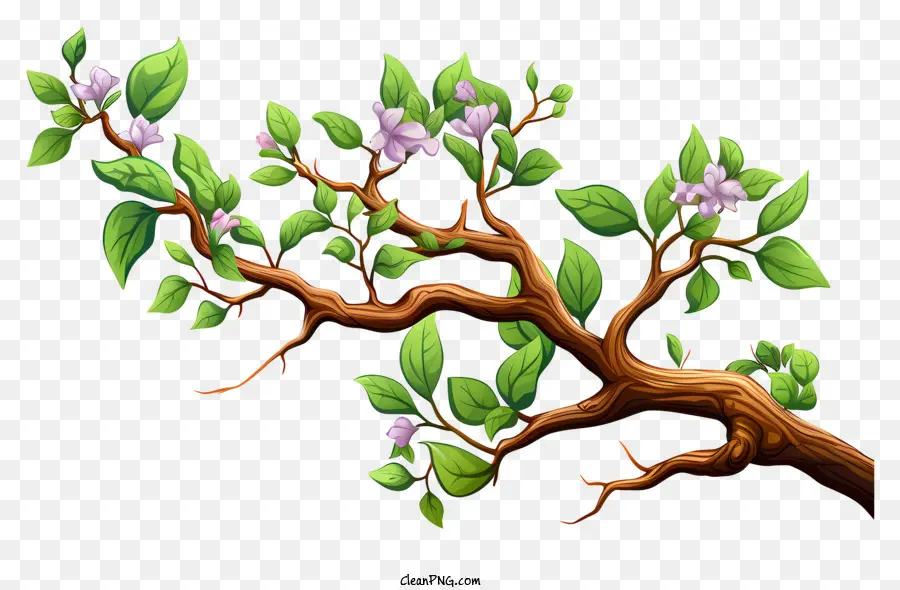 Branche D'arbre De Style Réaliste，Branche Fleurie PNG