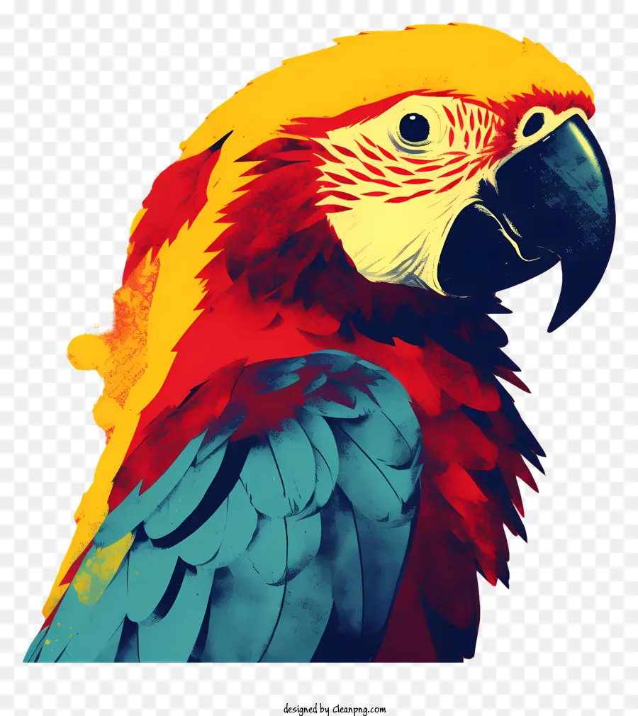 Perroquet，Parrot Peinture PNG