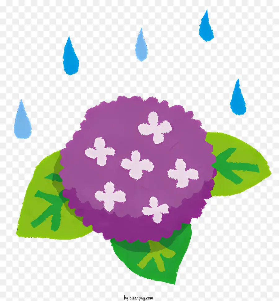 Pleut，Fleur Pourpre PNG