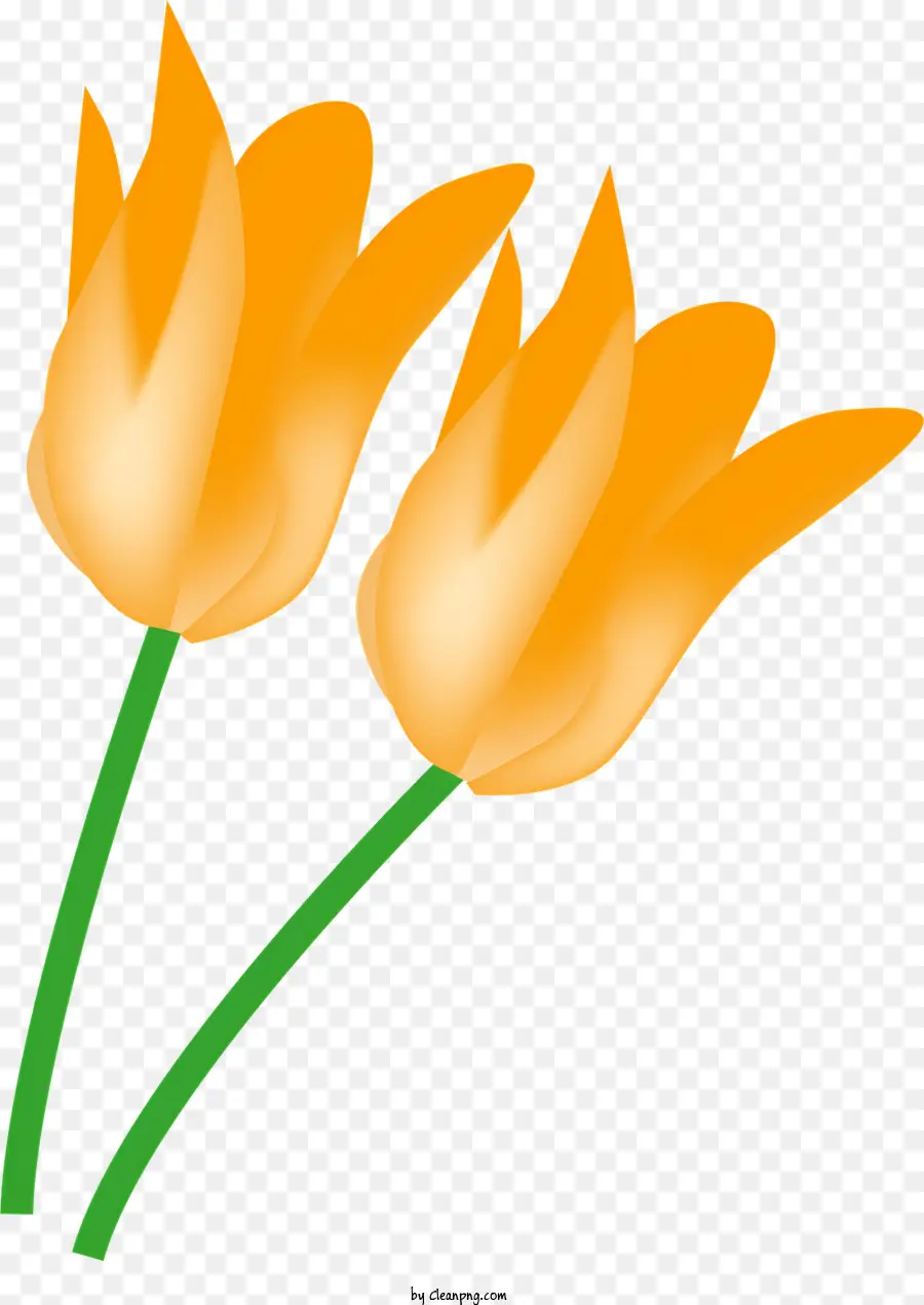 Orange Tulipes，Conception De Tulipes Stylisées PNG