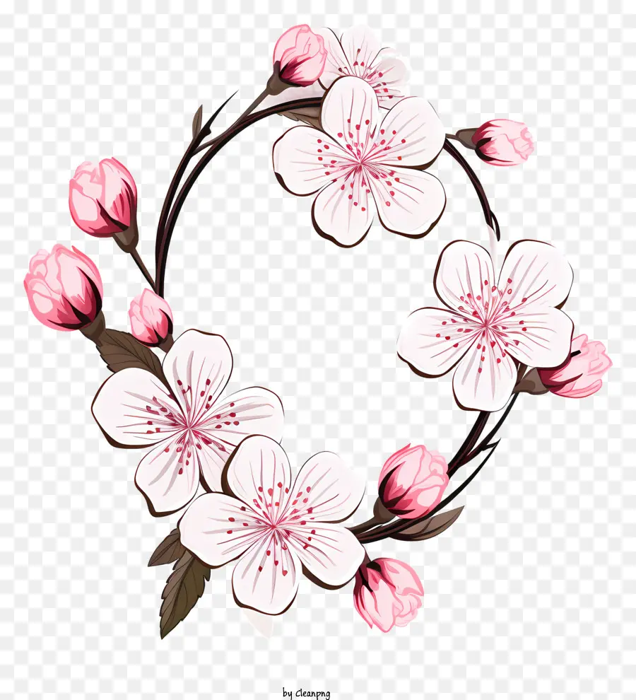 Sketch Style Branch Cherry Blossom，Fleurs De Cerisier PNG
