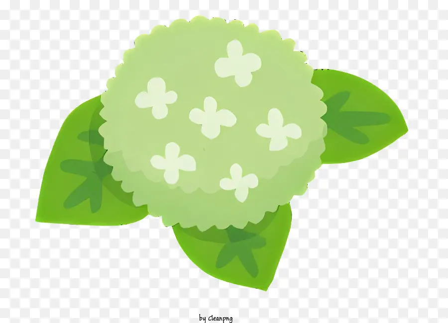 Fleur，Fleur Verte PNG