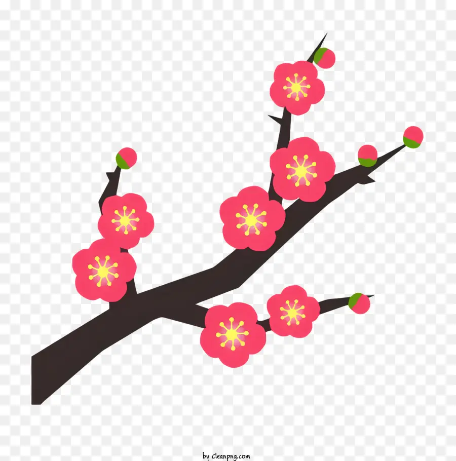 Sakura Arbre，Fleurs Roses PNG
