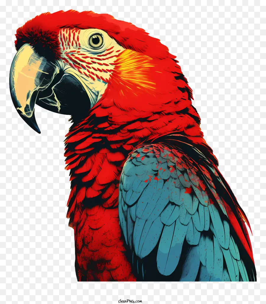 Perroquet，Le Rouge Et Le Bleu Parrot PNG