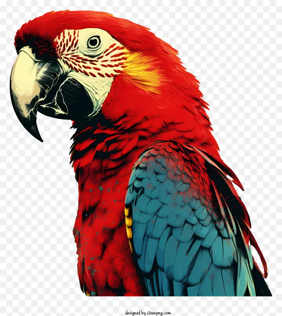Perroquet，Coloré Parrot PNG