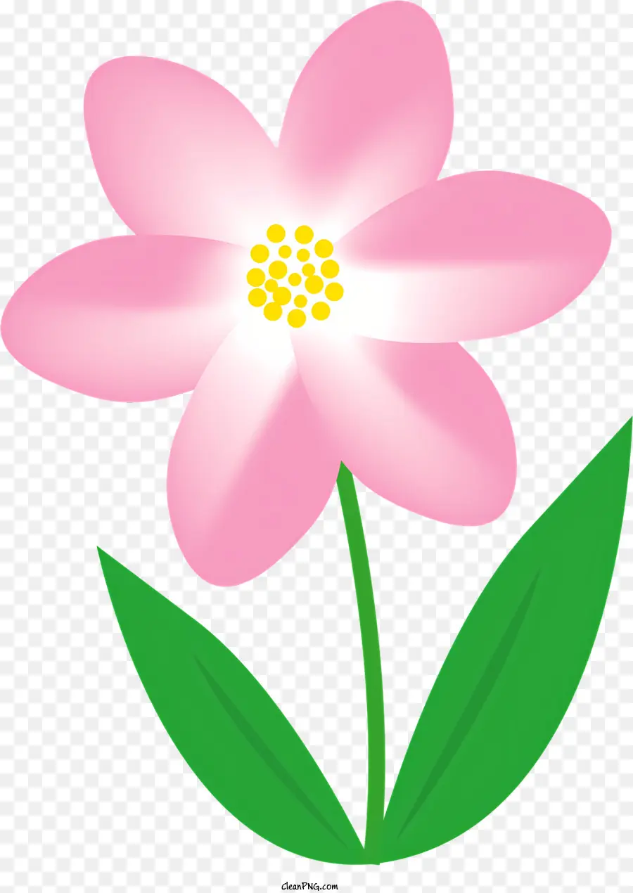 Fleur Rose，Cinq Pétales PNG